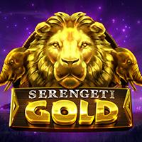 Microgaming Slot